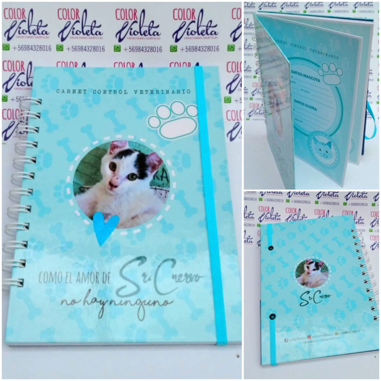 CARNET CONTROL VETERINARIO - Imagen 3