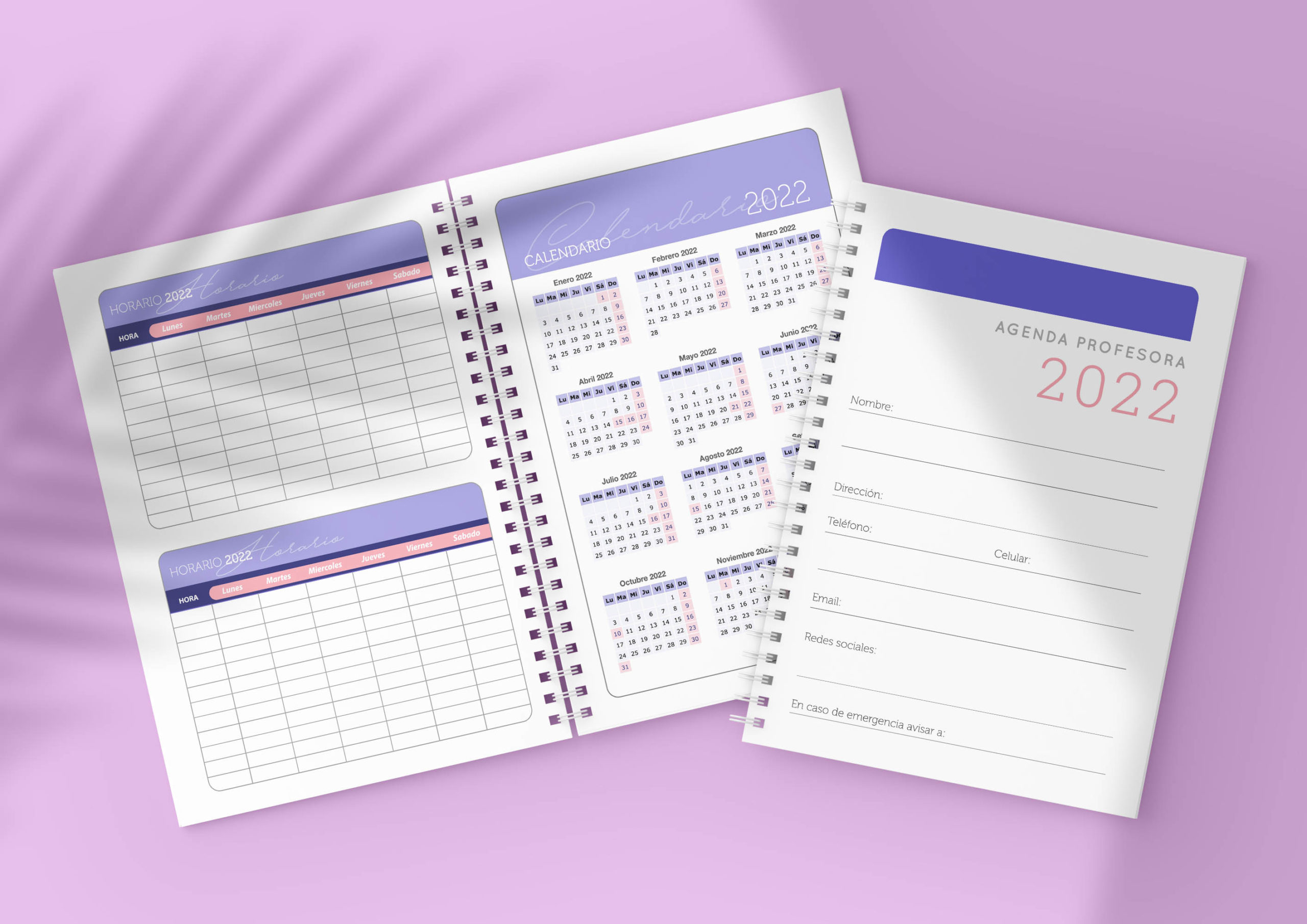 AGENDA PROFESOR/A 2025 - Imagen 2