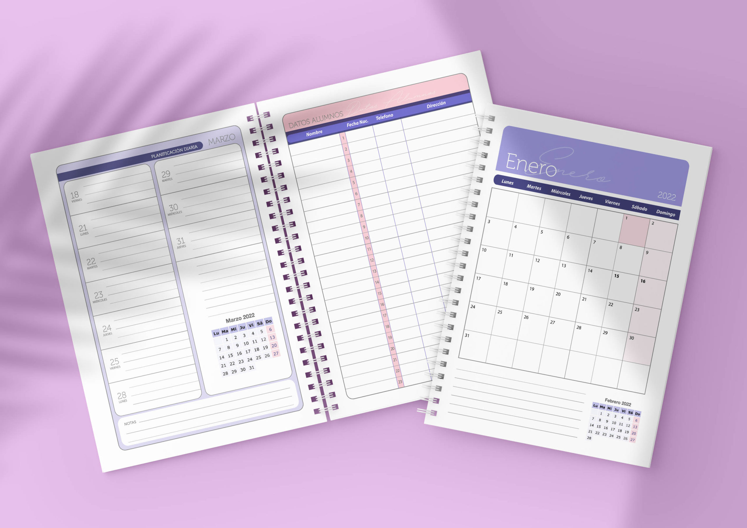 AGENDA PROFESOR/A 2025 - Imagen 3