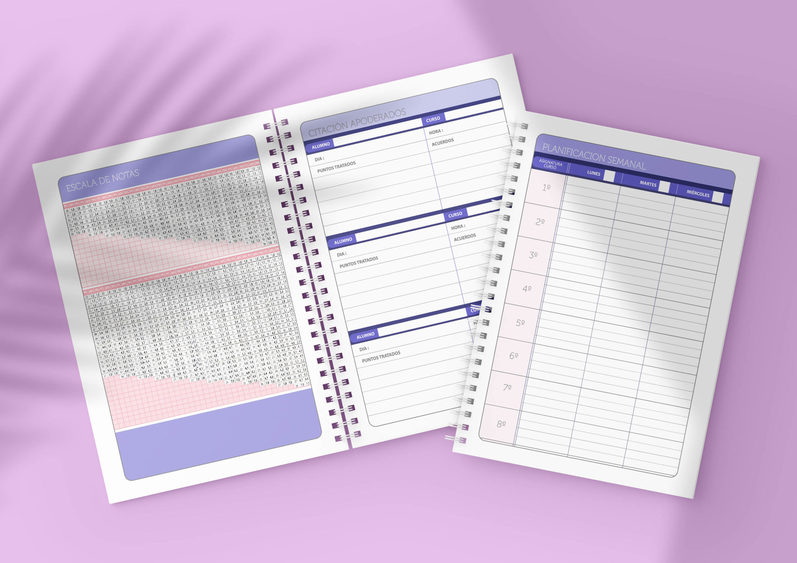 AGENDA PROFESOR/A 2025 - Imagen 4