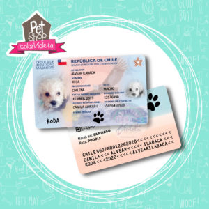 CARNET IDENTIDAD MASCOTAS