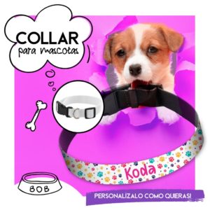 COLLAR PARA MASCOTAS