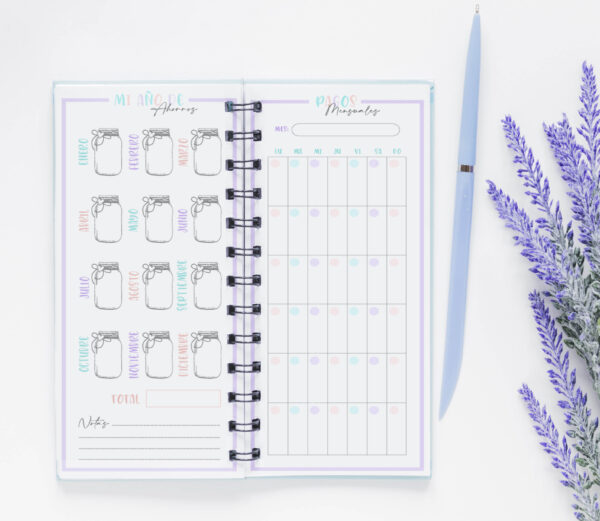 PLANNER FINANCIERO (ORGANIGASTOS) - Imagen 3