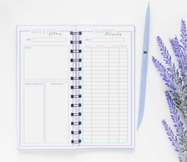 PLANNER FINANCIERO (ORGANIGASTOS) - Imagen 4